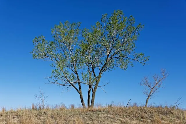 Portage Lakefront & Riverwalk