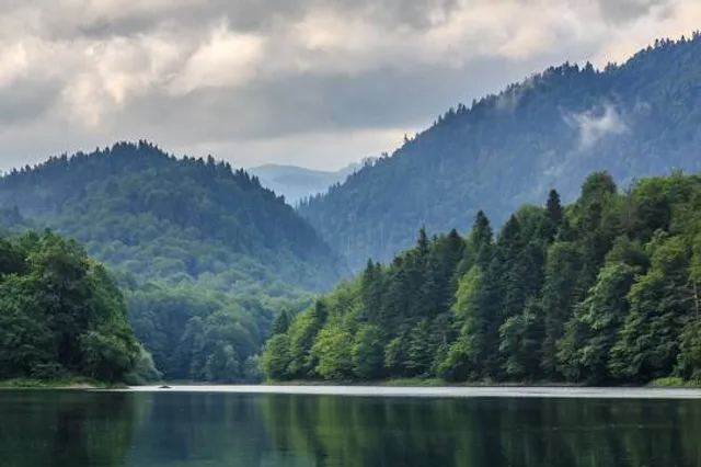 Biogradska gora National Park