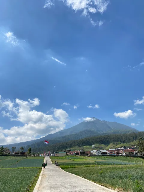 Spot Foto Desa Gondosuli