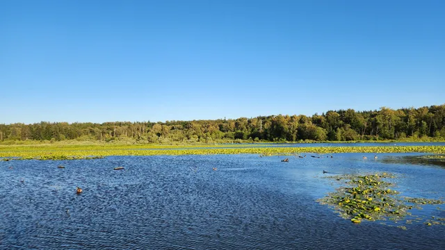 Burnaby Lake Regional Park