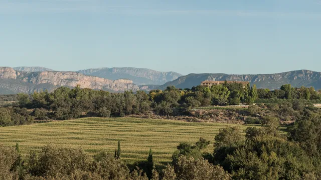 Bodegas Costers del Sió, S.L.