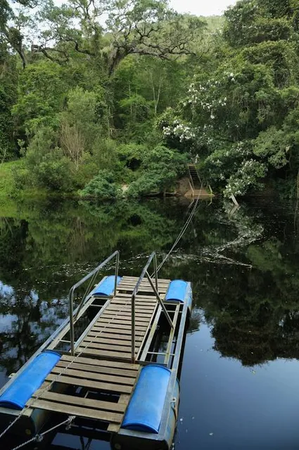 Half Collared Kingfisher Trail Gate (permit required)