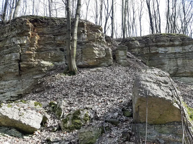 Srocza Góra w Dąbrowie Górniczej