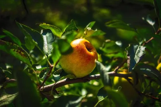 Saint Albans Township