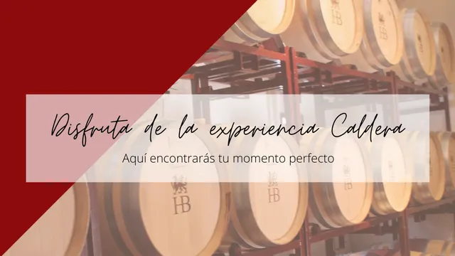 Bodega Hoyos de Bandama