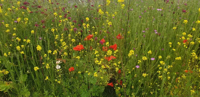 Bude Tourist Information Centre Public Toilets