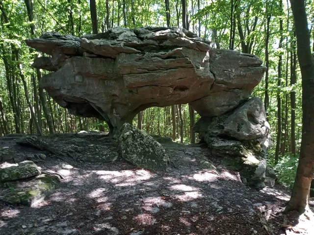 Natsionalʹnyy Pryrodnyy Park "Pivnichne Podillya"