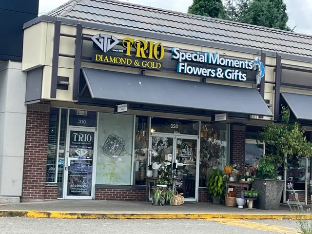 Trio Diamond & Gold Jewellery