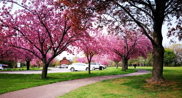 McFarland Park Picnic Pavilion