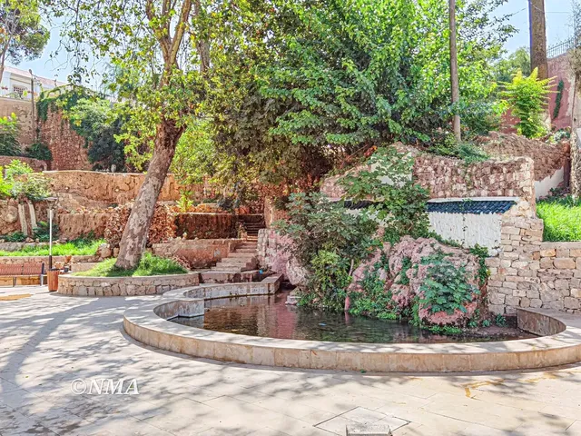 Appointed Custodian عين خادم