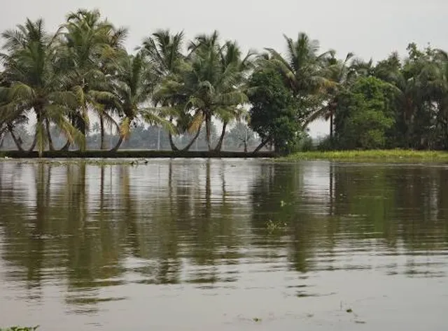 J Yes Farm's, Neendoor