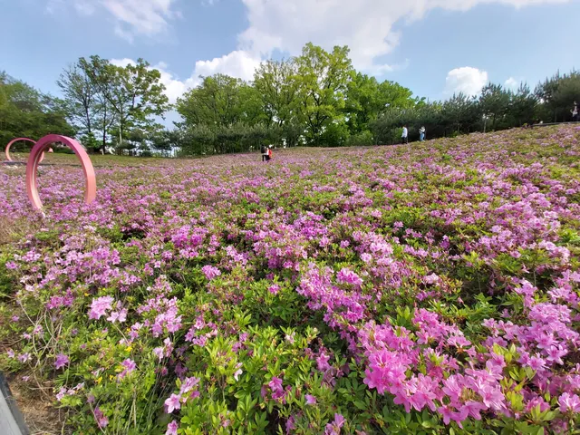 불암산 나비정원