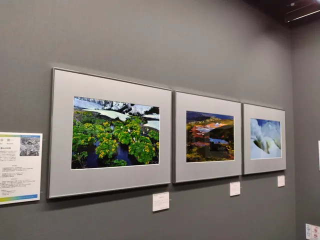 フジフイルムフォトサロンサッポロ