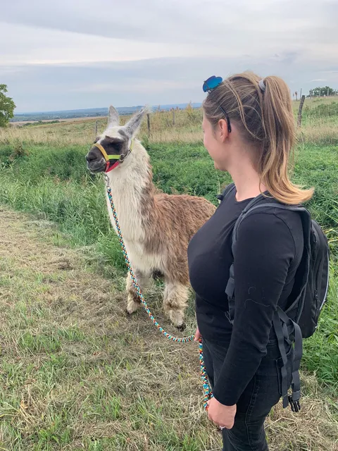 Gemeinde Donnerskirchen
