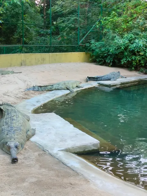 Patna Zoo Aquarium