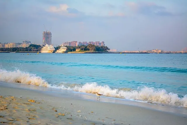 place image