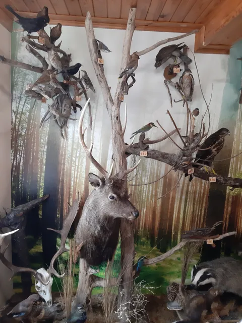 Muzeum Przyrodniczo-Myśliwskie