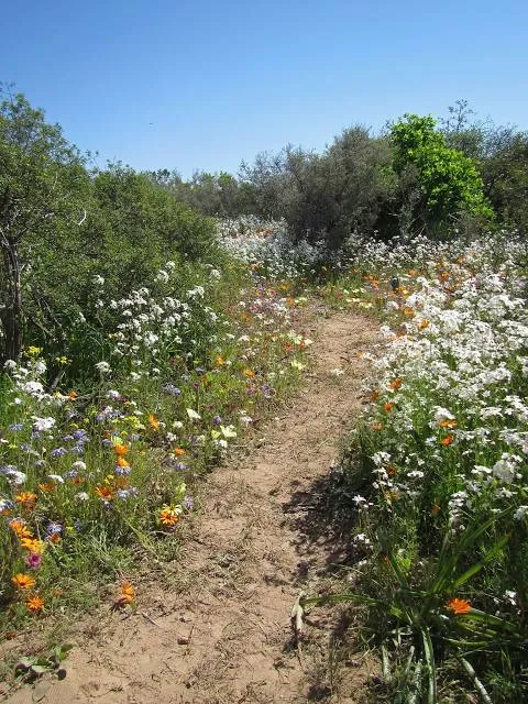Christiansberg Botanical Garden