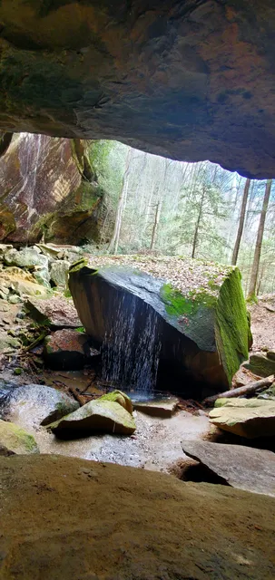 Whittleton Arch Trail #216