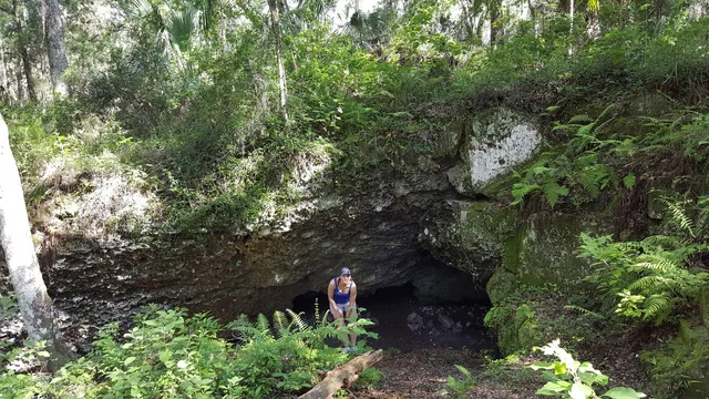 Withlacoochee State Forest