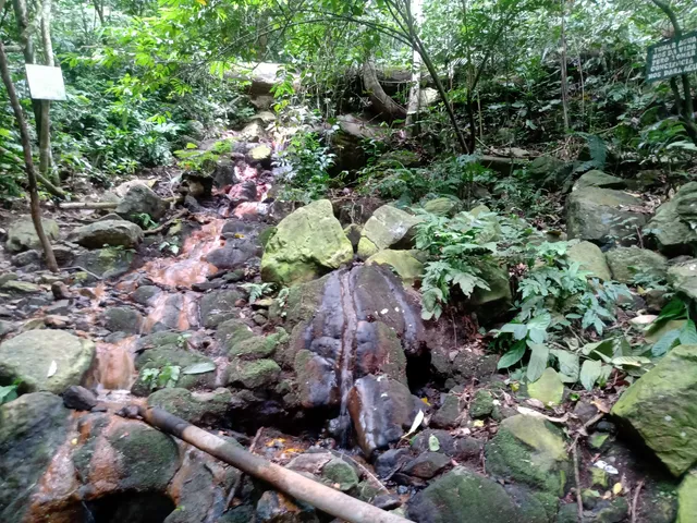 place image