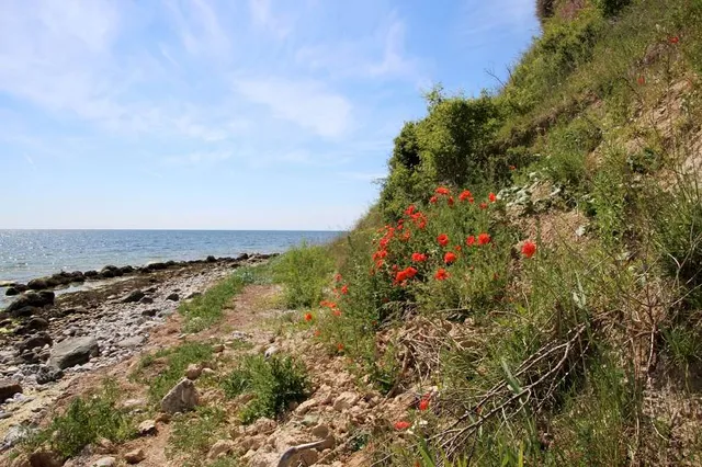 Playa urbana Balneario Municipal