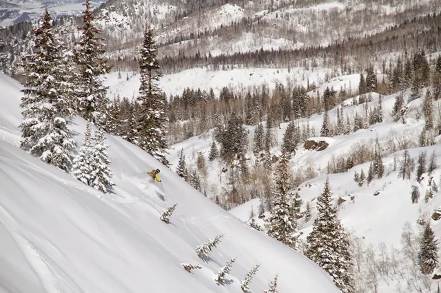 Steamboat Powdercats