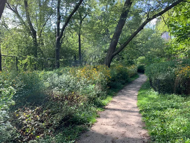 Bill Jarvis Migratory Bird Sanctuary