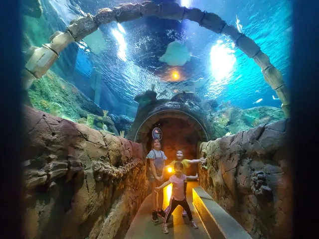 SEA LIFE Kansas City