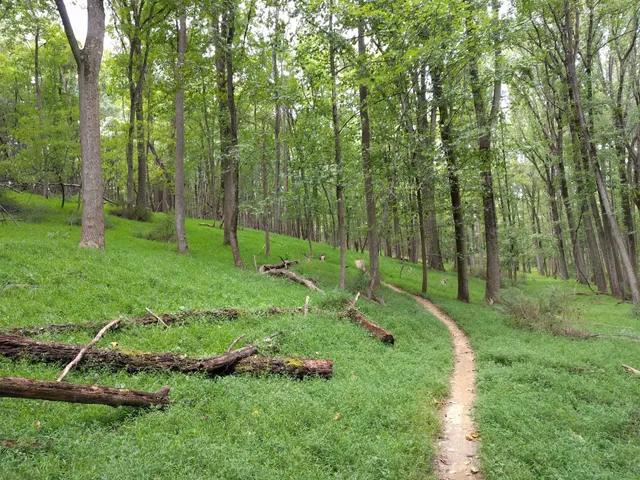 Schaeffer Farms Trailhead