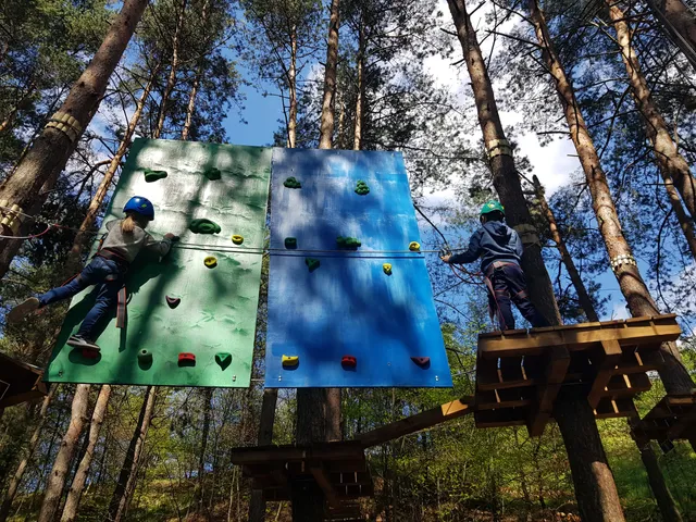 Park Linowy Srebrny Gaj