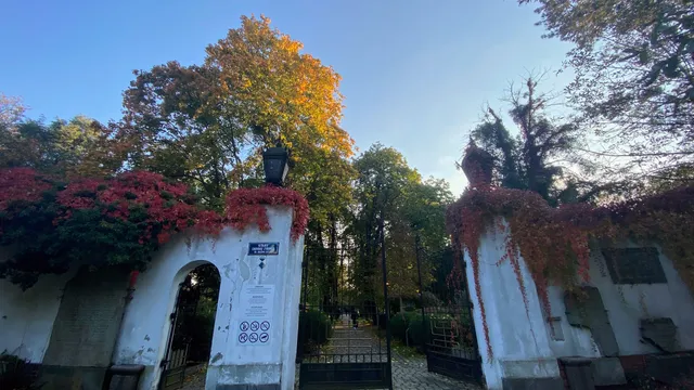 Museum of Cemetery Art