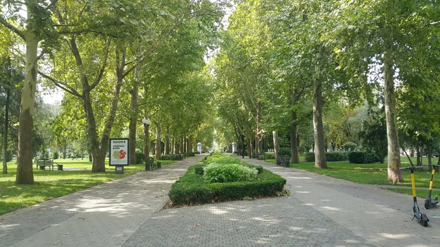 photo-2