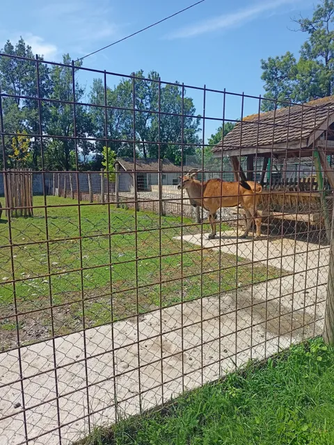 Зоо врт Врњци