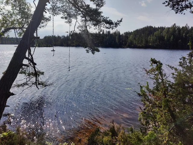 Sävsjön hike