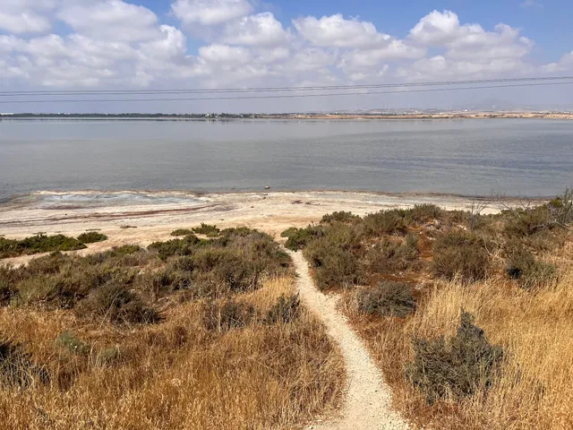 Larnaca Salt Lake Trail