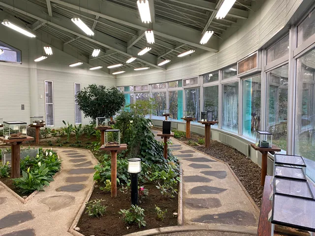 トウマセカイノコンチュウカンパピヨンシャトー