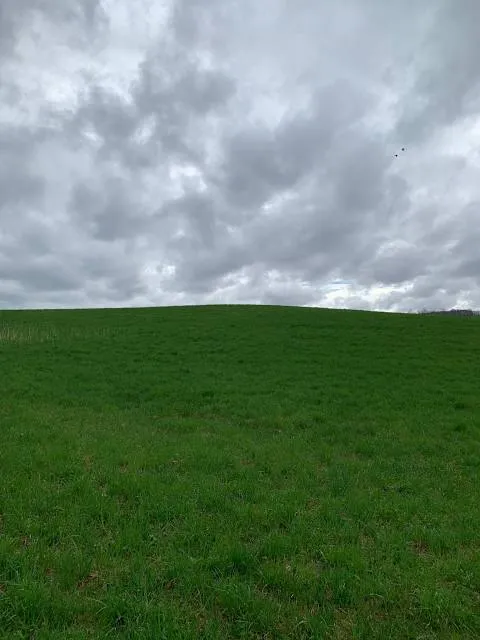 Macricostas Preserve