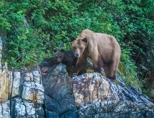 The Reserve Vineyard & Golf Club