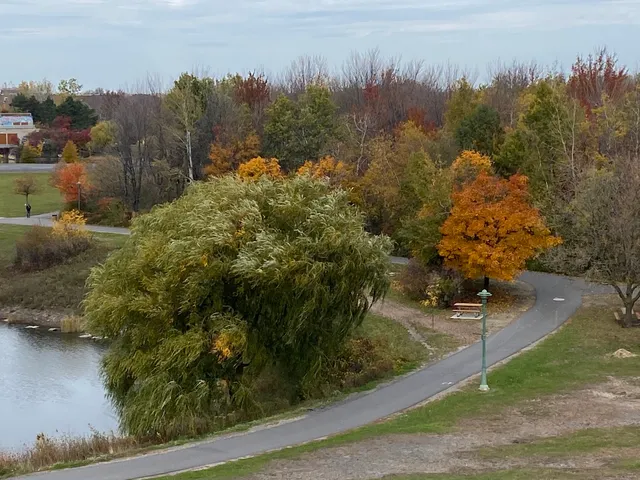 Mini Montagne du Parc de la Cité