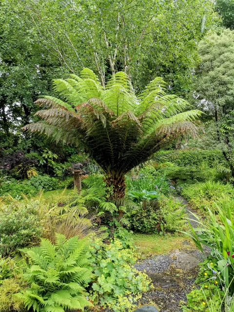 Cluain na dTor Gardens & Nursery