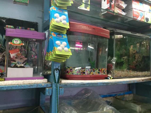Jolly aquarium