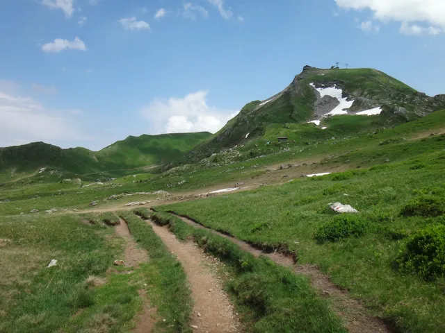 photo-1