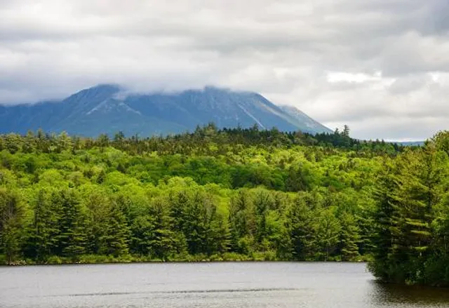 North Maine Woods