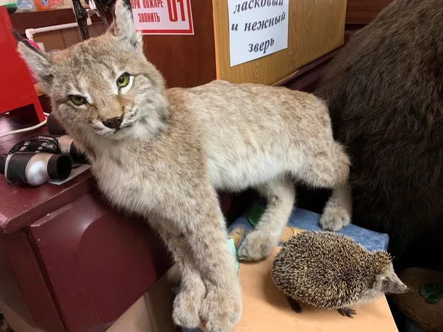 Zavodoukovsky History Museum