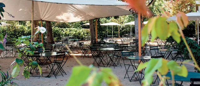 Le comptoir des tilleuls