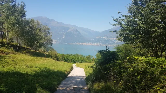 photo-1
