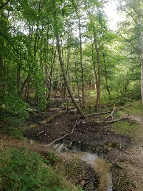 Trójmiejski Park Krajobrazowy