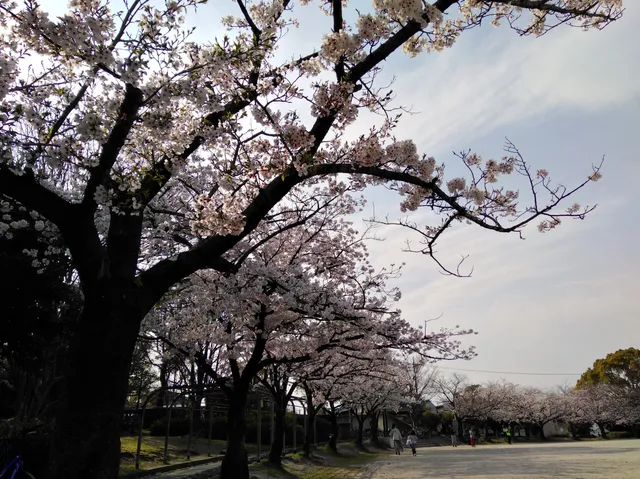 Ushiroyama Park