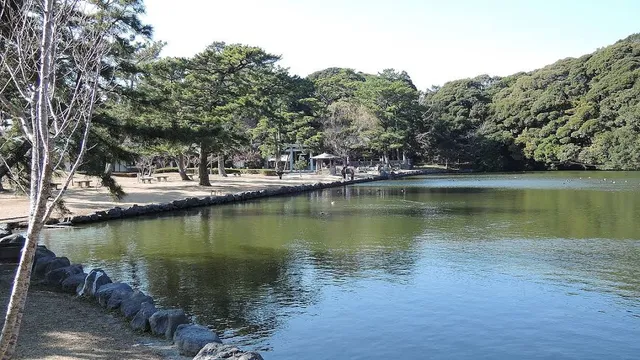 Sakuraga Pond